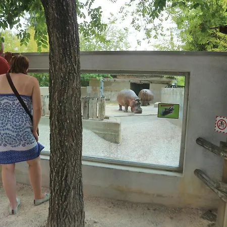 Maria アパート リニャーノ・サッビアドーロ