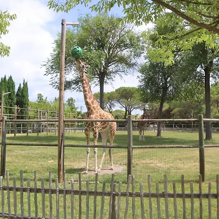 Maria * Λινιάνο Σαμπιαντόρο